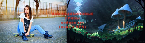 ГАЛЛЮЦИНОГЕННЫЕ ГРИБЫ Киреевск