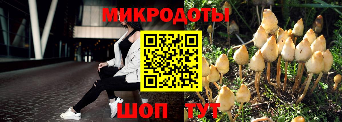 Псилоцибиновые грибы Magic Shrooms Биробиджан